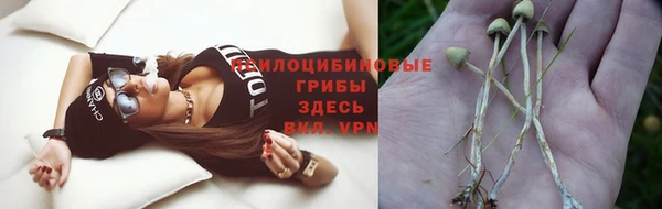 Альфа ПВП Протвино