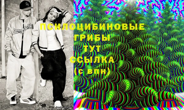 прущий лед Абаза