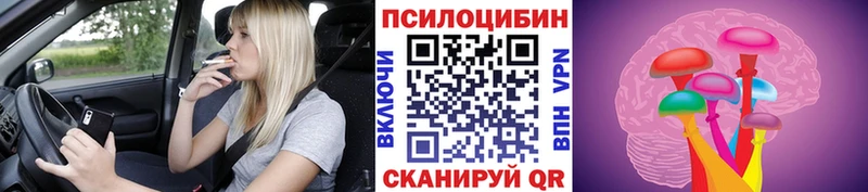 kraken маркетплейс  Прохладный  Галлюциногенные грибы Magic Shrooms 