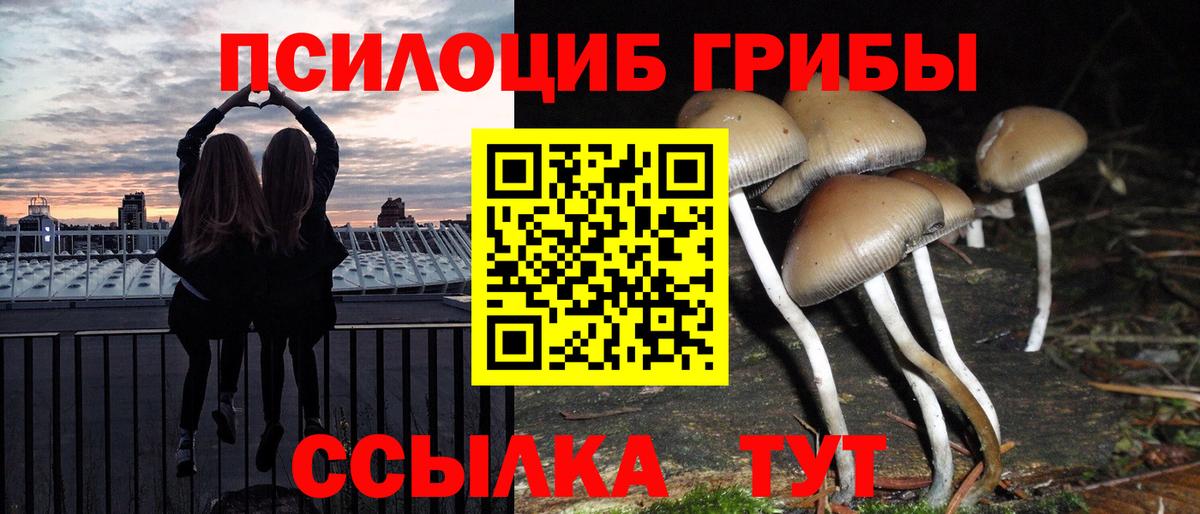 Галлюциногенные грибы Psilocybine cubensis Прохладный